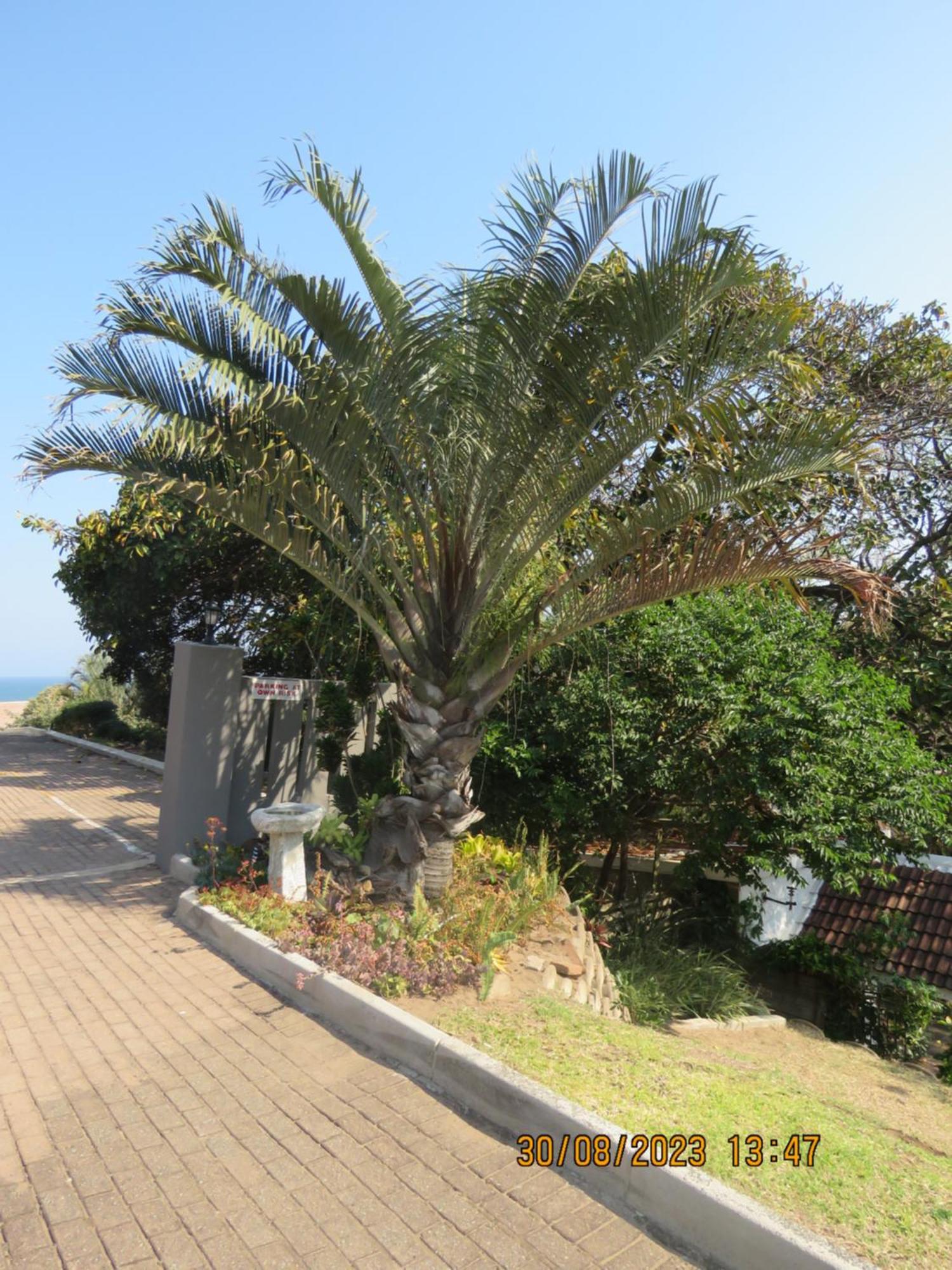 Beachcomber Bay Guest House In South Africa Margate Extérieur photo